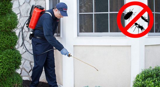 Başçiftlik Bit İlaçlama böcek ilaçlama ve haşere kontrolü — ilaclama-tr.com